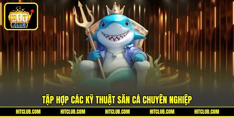 Tập hợp các kỹ thuật săn cá chuyên nghiệp